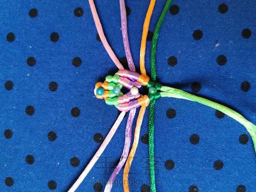 变色七色堇 第6步