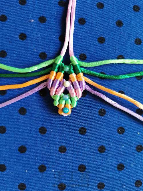 变色七色堇 第7步