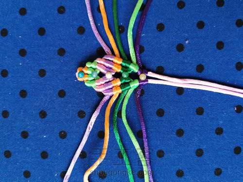 变色七色堇 第8步