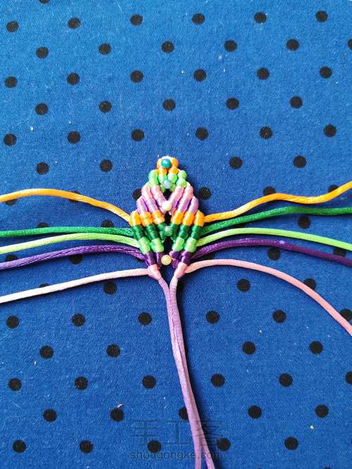 变色七色堇 第9步