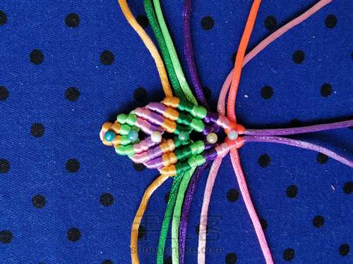 变色七色堇 第10步