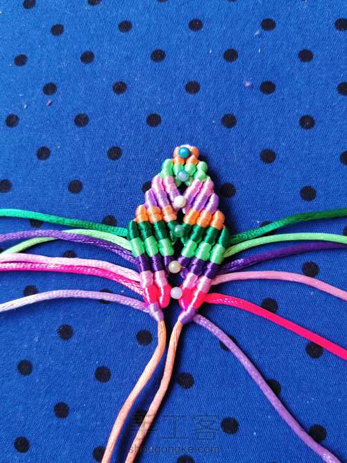 变色七色堇 第11步