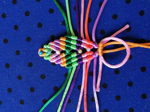 变色七色堇 第12步