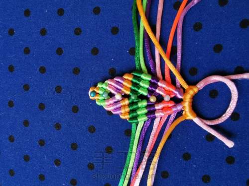 变色七色堇 第13步