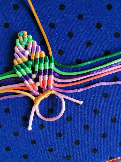 变色七色堇 第14步