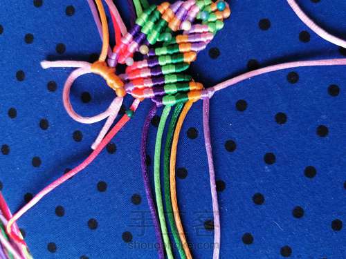 变色七色堇 第16步