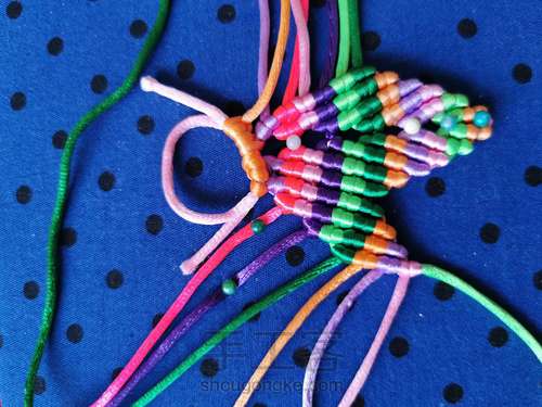 变色七色堇 第17步