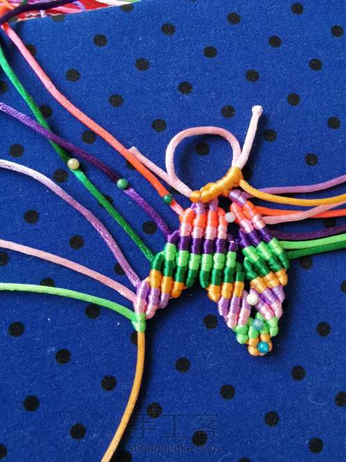 变色七色堇 第18步