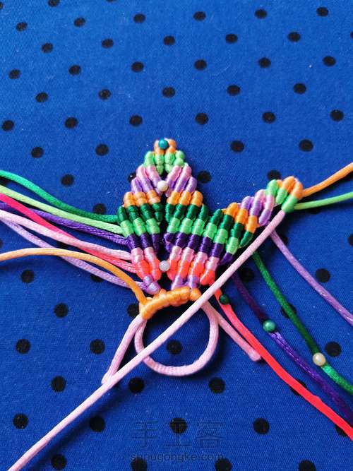 变色七色堇 第20步