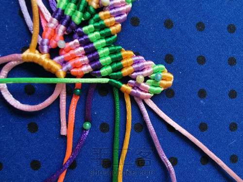 变色七色堇 第22步