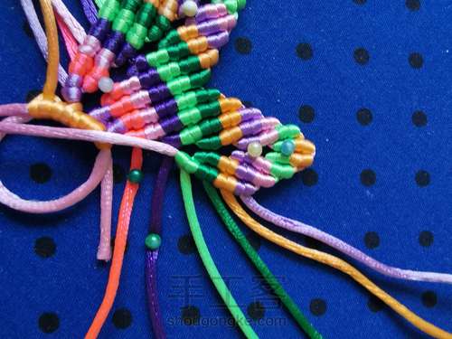 变色七色堇 第23步