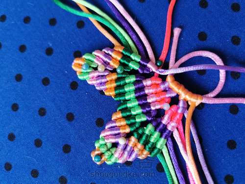 变色七色堇 第24步