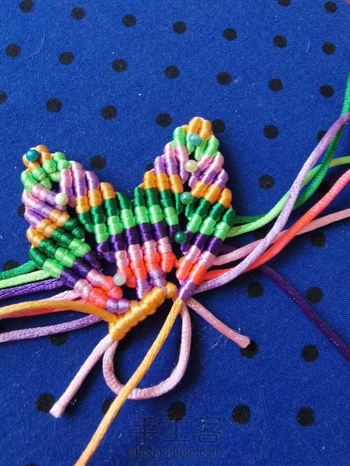 变色七色堇 第25步