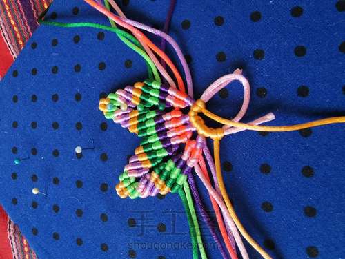 变色七色堇 第26步