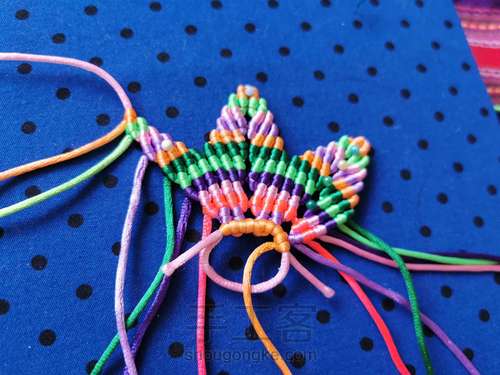 变色七色堇 第27步