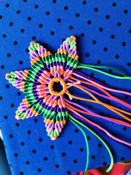 变色七色堇 第28步