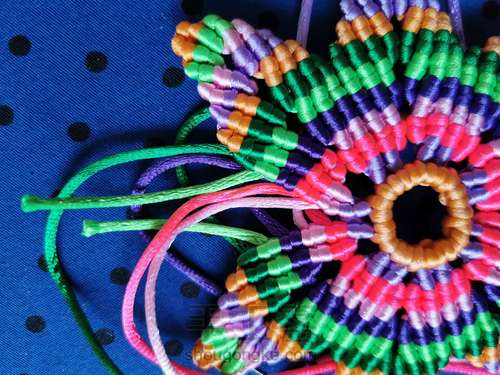 变色七色堇 第29步