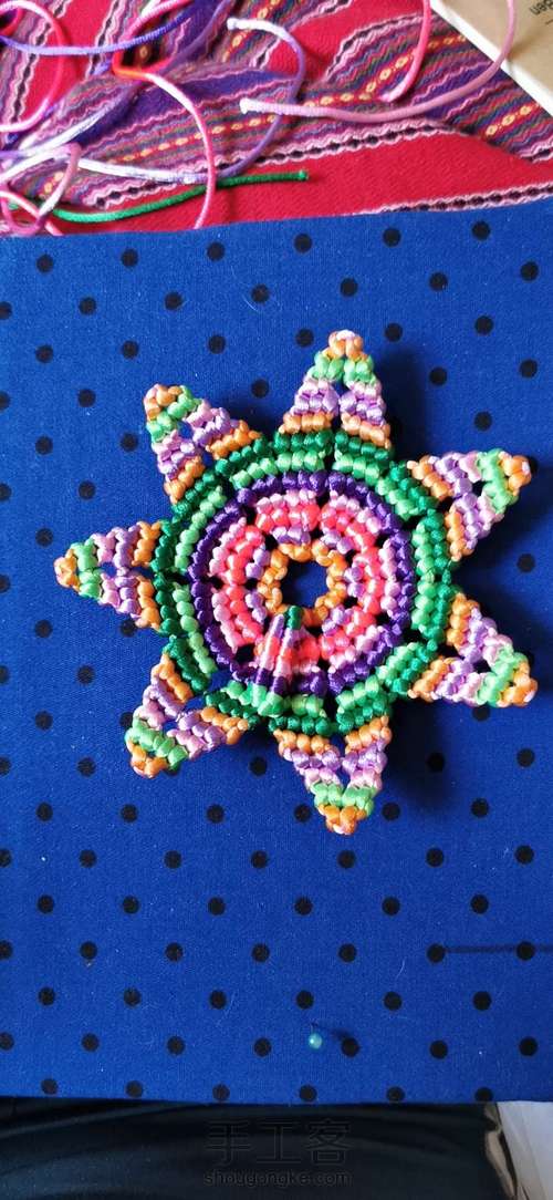 变色七色堇 第30步