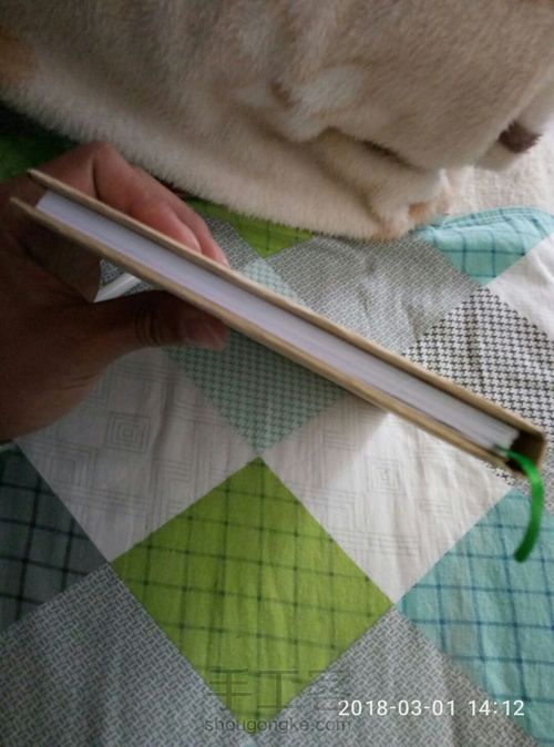 一本纯手工的《小王子》 第25步