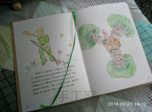 一本纯手工的《小王子》 第27步