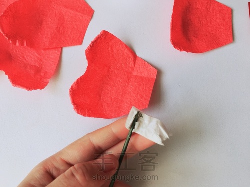 玫瑰花🌹 第7步