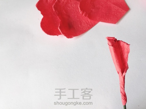 玫瑰花🌹 第11步