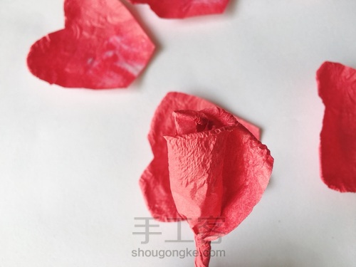 玫瑰花🌹 第12步