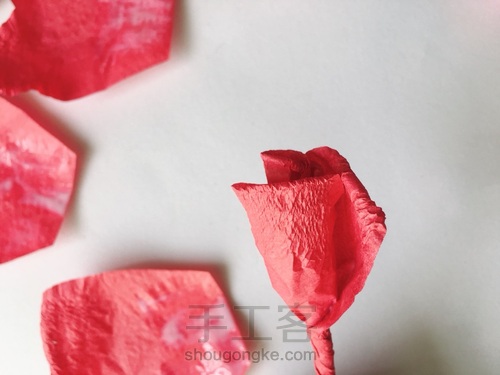 玫瑰花🌹 第13步