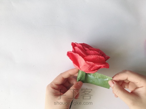 玫瑰花🌹 第17步