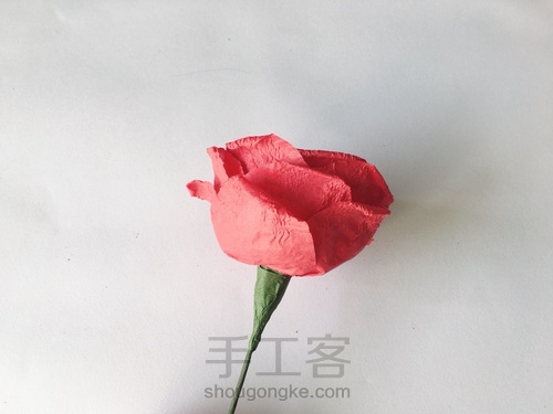 玫瑰花🌹 第18步