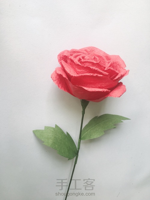 玫瑰花🌹 第24步