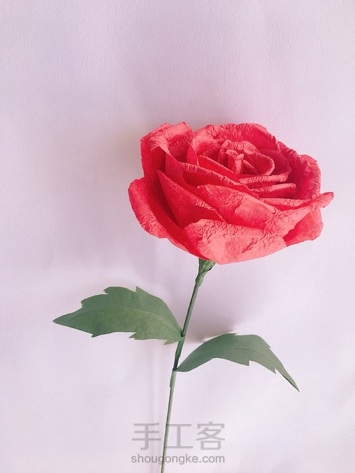 玫瑰花🌹 第25步