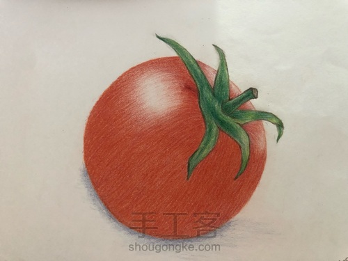 彩铅画—美味的西红柿🍅 第3步