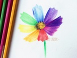 彩铅手绘七色花
