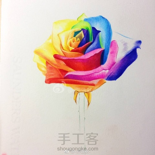 彩铅手绘教程～厄瓜多尔七彩玫瑰 第8步