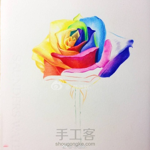 彩铅手绘教程～厄瓜多尔七彩玫瑰 第7步