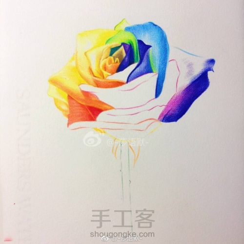 彩铅手绘教程～厄瓜多尔七彩玫瑰 第6步