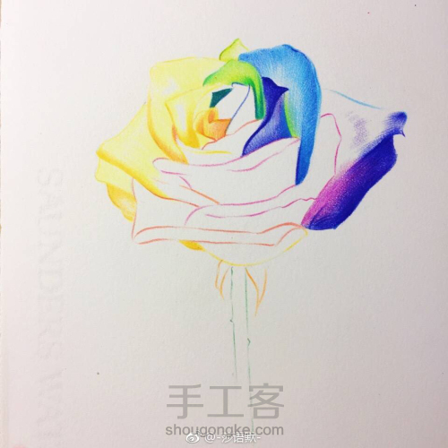 彩铅手绘教程～厄瓜多尔七彩玫瑰 第4步