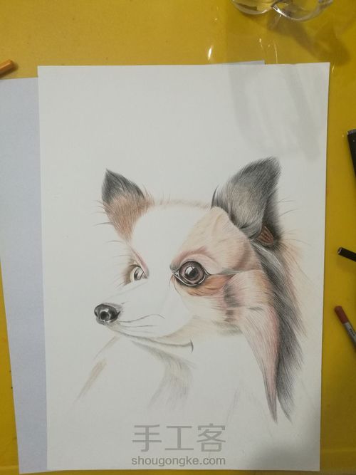 狗🐶 第7步
