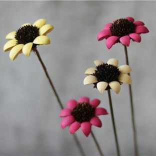 手作植物干花-太阳花