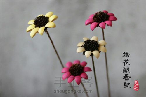手作植物干花-太阳花 第10步
