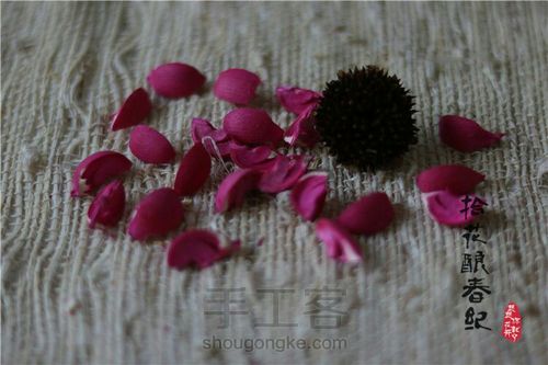 手作植物干花-太阳花 第2步