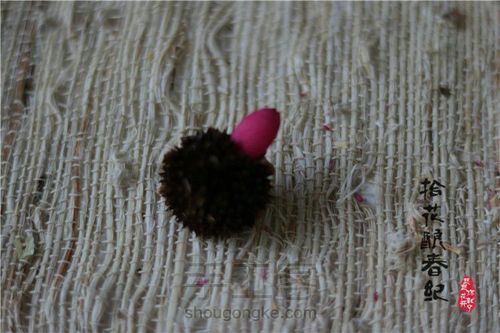 手作植物干花-太阳花 第3步