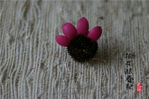 手作植物干花-太阳花 第4步