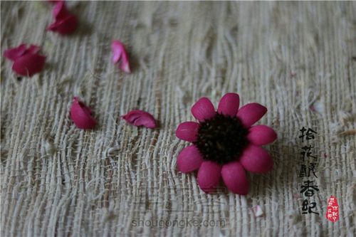 手作植物干花-太阳花 第5步