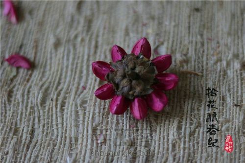 手作植物干花-太阳花 第6步