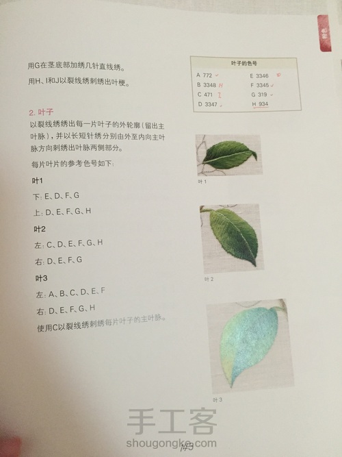 崔西大师粉红山茶花 第2步