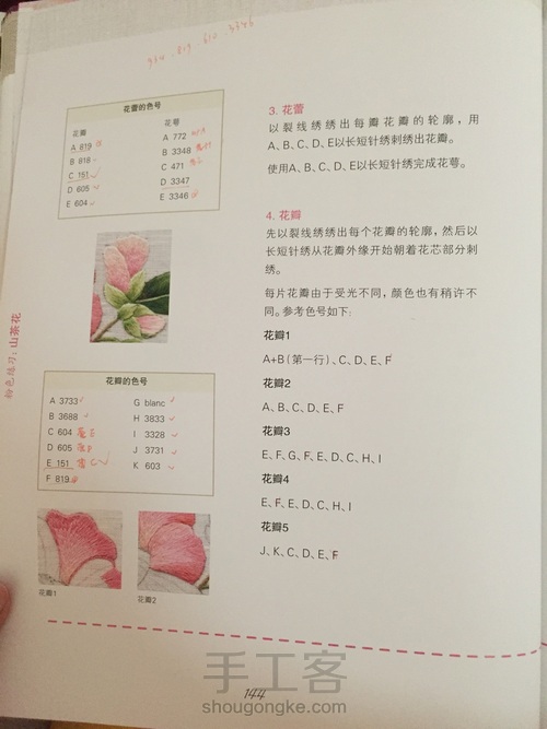 崔西大师粉红山茶花 第3步