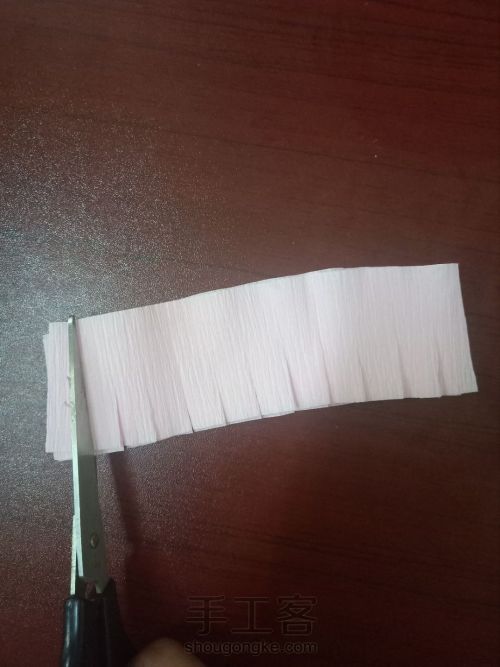 皱纹纸康乃馨 第6步