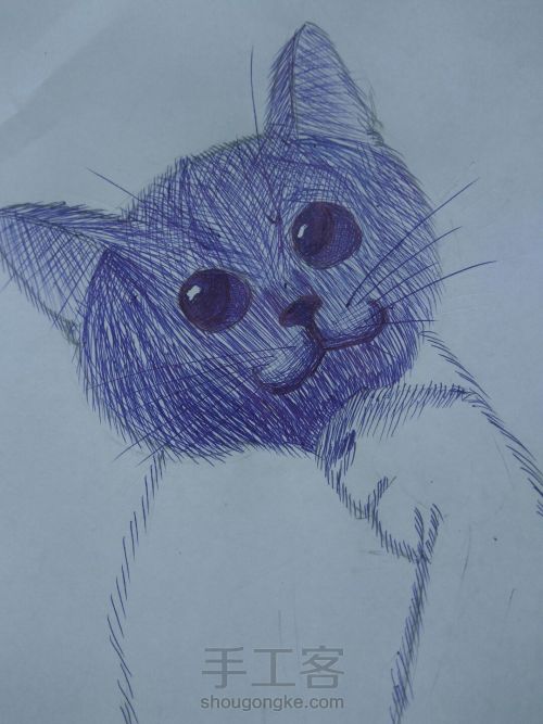 圆珠笔猫猫🐱🐱 第2步